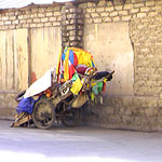 award_winner